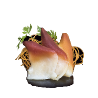 Sashimi de Vieira del Norte